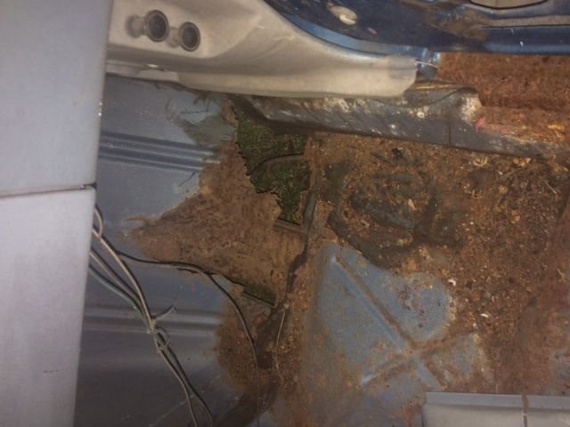 1979 Blue Pontiac Firebird Coupe