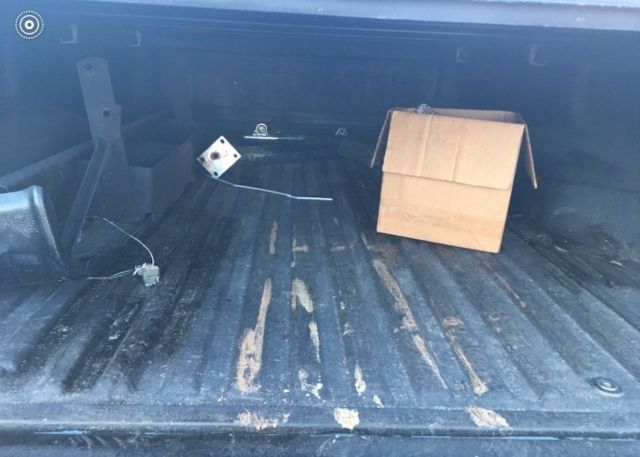 1979 Gray Ford F-150 Crew Cab Pickup