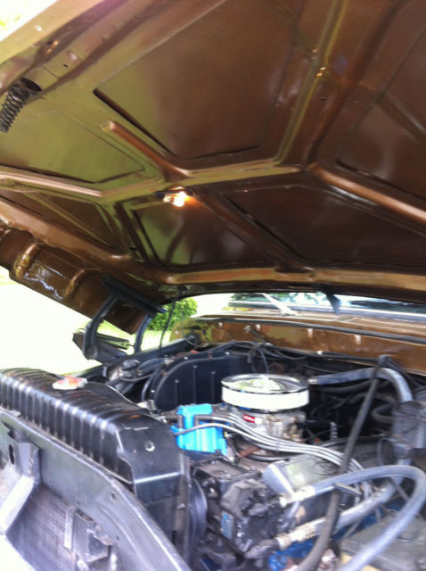 1979 walnut glow / raven black Ford F-150 truck