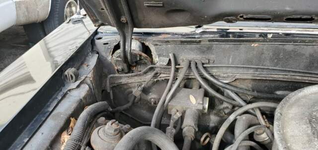 1979 Black Ford Mustang