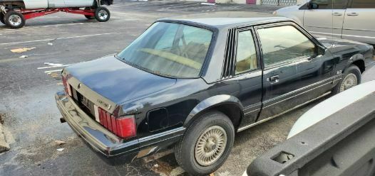 1979 Black Ford Mustang