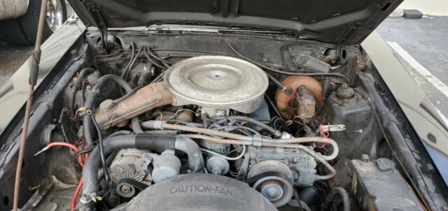 1979 Black Ford Mustang