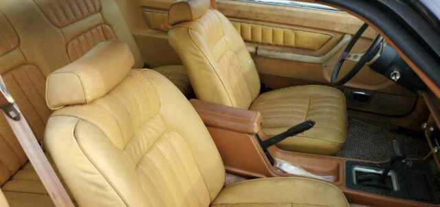 1979 Black Ford Mustang