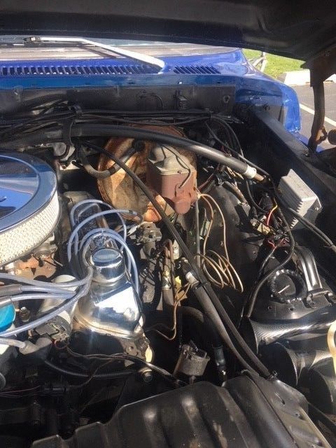 1979 Blue Ford F-100