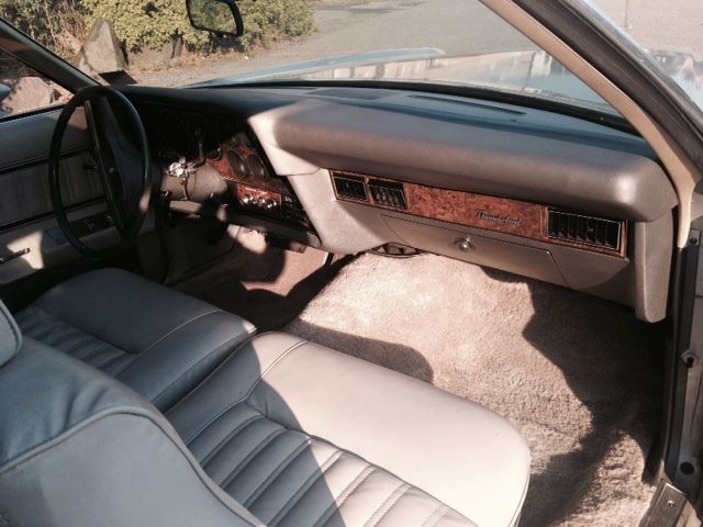 1979 SILVER GRAY Ford Thunderbird Hardtop