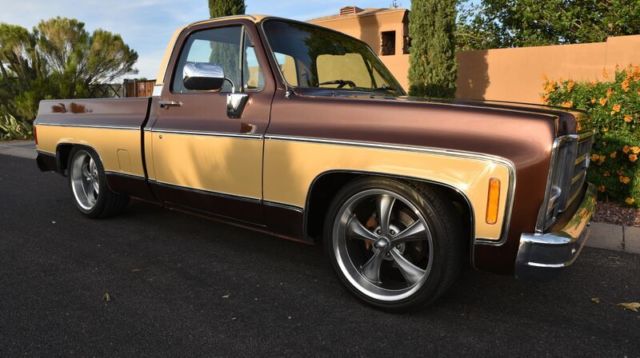 1979 Chevrolet C-10