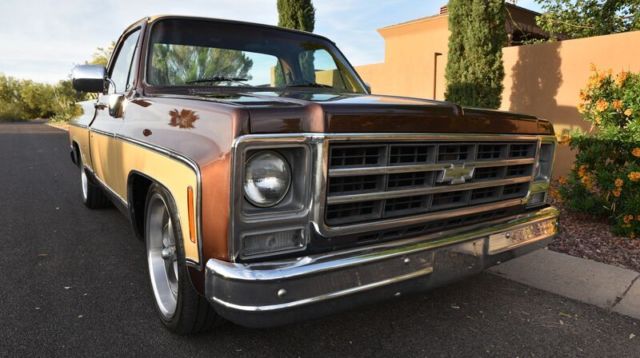1979 Chevrolet C-10
