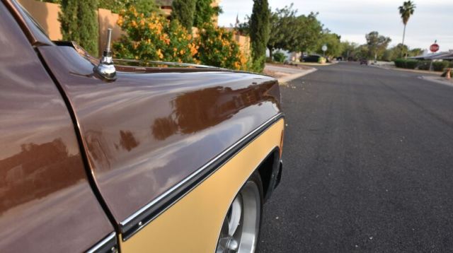 1979 Chevrolet C-10