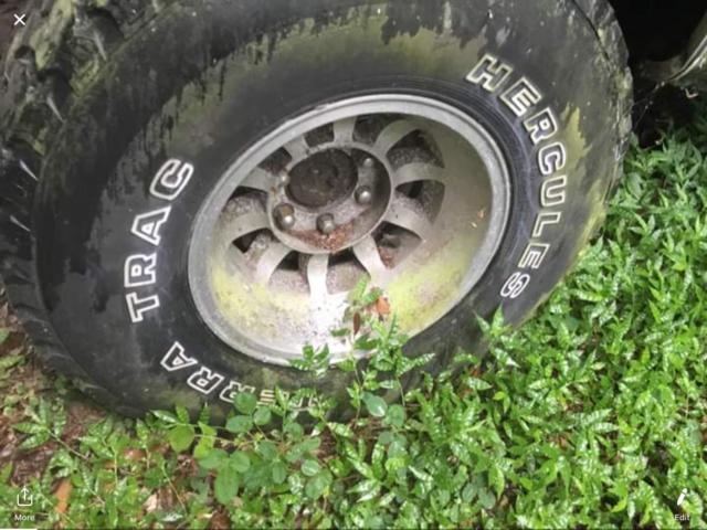 1979 GREEN Chevrolet Other Pickups Standard Cab Pickup