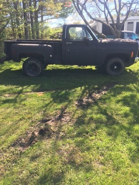 1979 Black Chevrolet Other Pickups Standard Cab Pickup