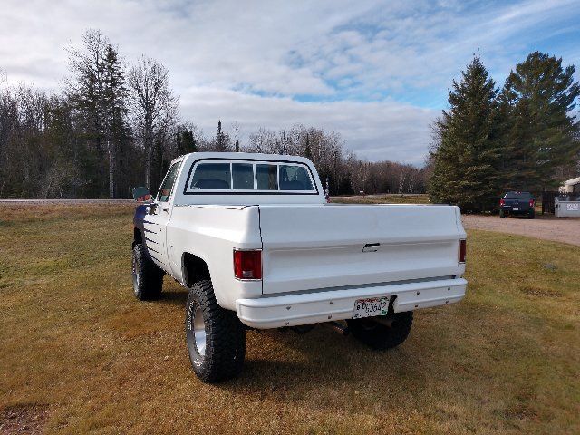 1979 WHITE/PURPLE Chevrolet C/K Pickup 1500 REG. CAB SHORT BOX