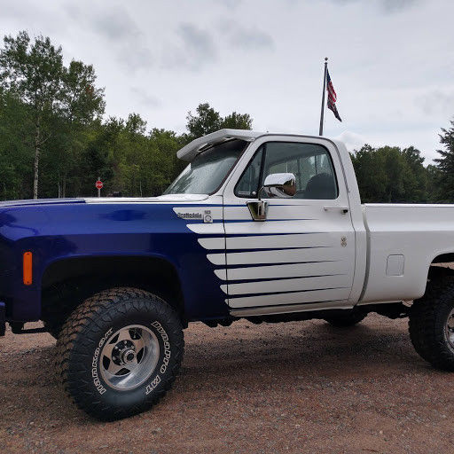 1979 WHITE/PURPLE Chevrolet C/K Pickup 1500 REG. CAB SHORT BOX