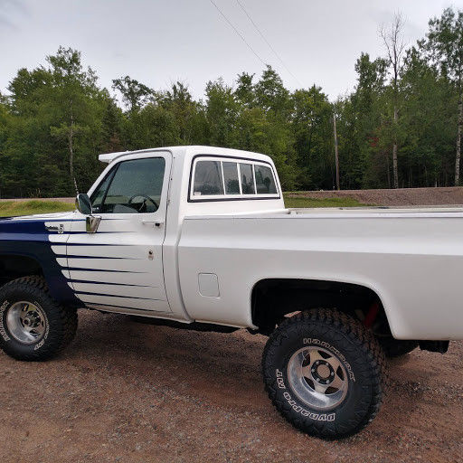 1979 WHITE/PURPLE Chevrolet C/K Pickup 1500 REG. CAB SHORT BOX