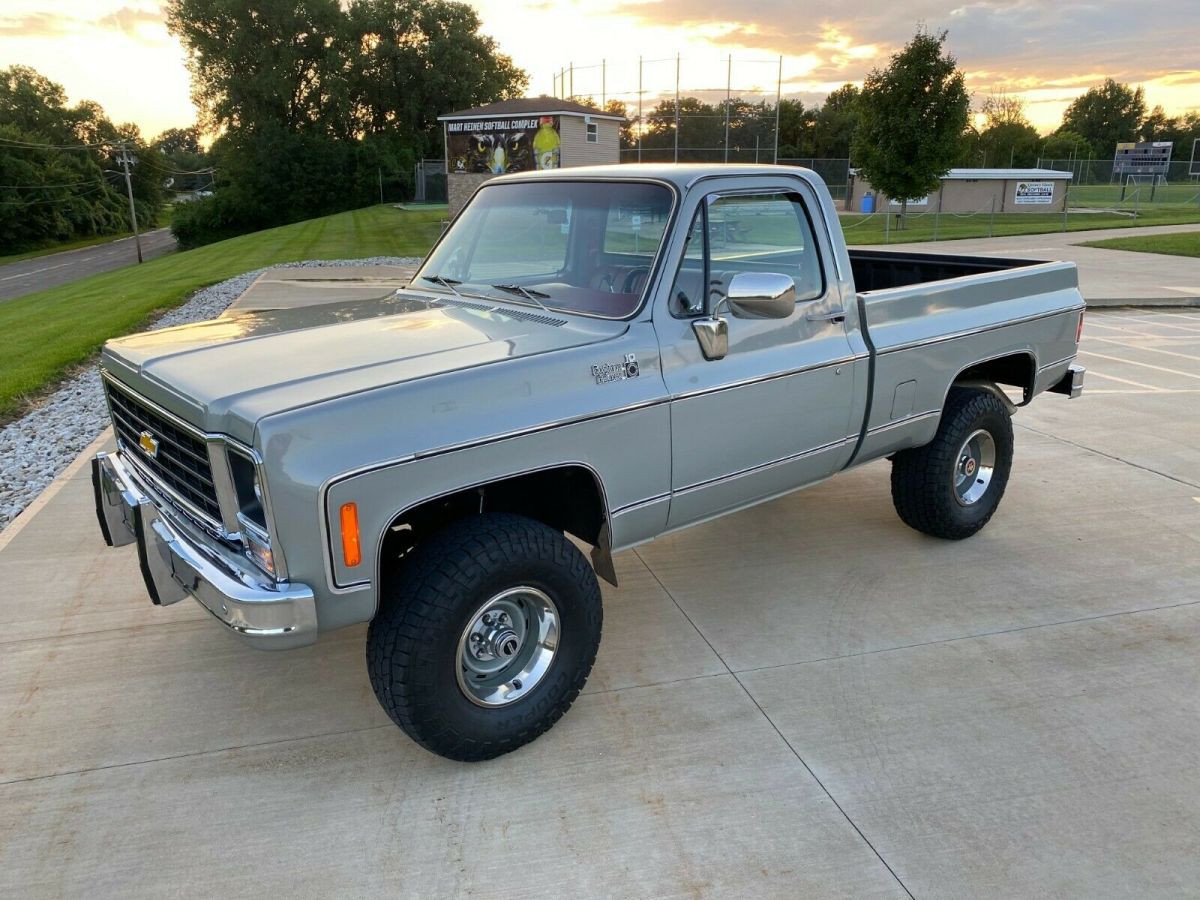 1979 Gray Chevrolet C/K Pickup 1500 Standard Cab Pickup