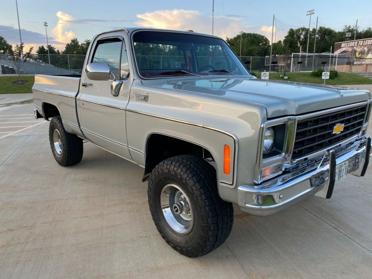 1979 Gray Chevrolet C/K Pickup 1500 Standard Cab Pickup