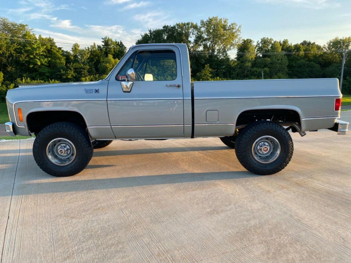 1979 Gray Chevrolet C/K Pickup 1500 Standard Cab Pickup