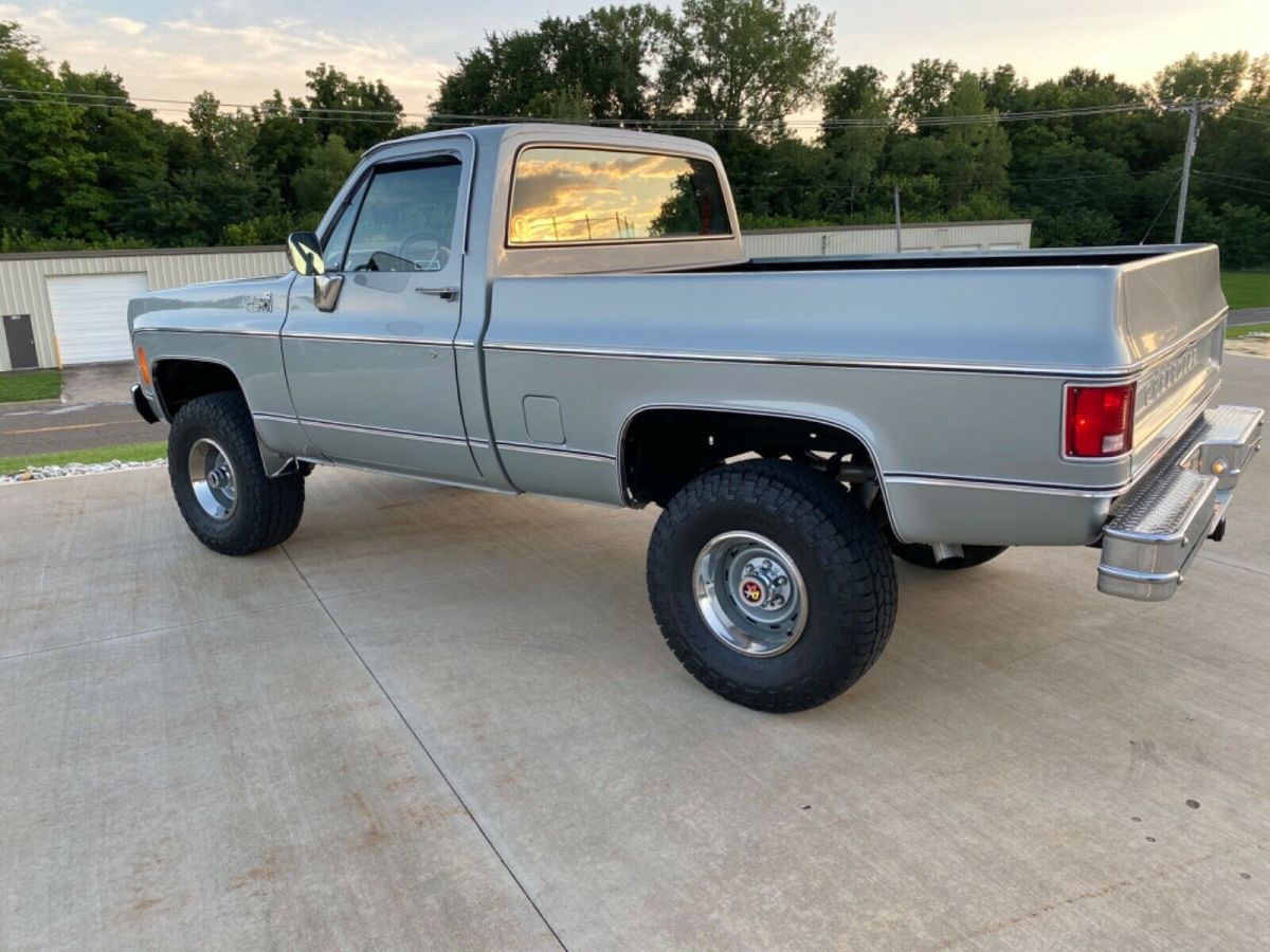 1979 Gray Chevrolet C/K Pickup 1500 Standard Cab Pickup