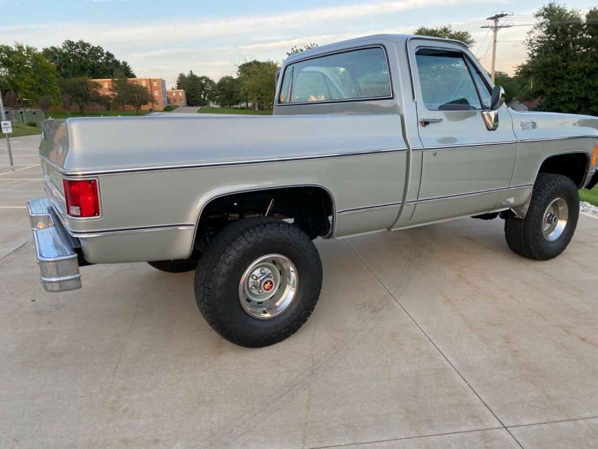 1979 Gray Chevrolet C/K Pickup 1500 Standard Cab Pickup