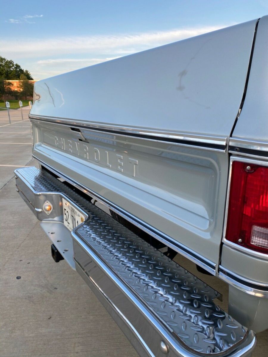 1979 Gray Chevrolet C/K Pickup 1500 Standard Cab Pickup
