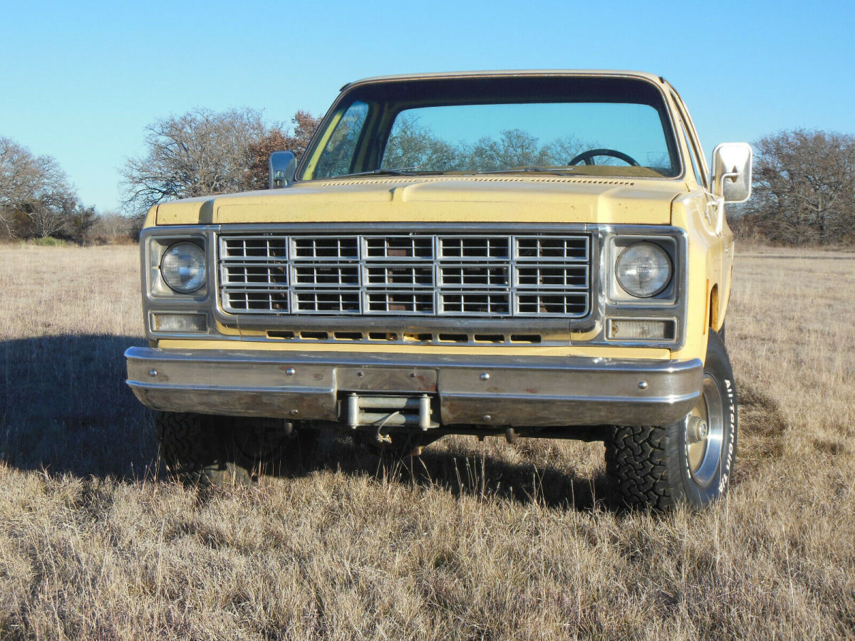 1979 Chevrolet Other Pickups