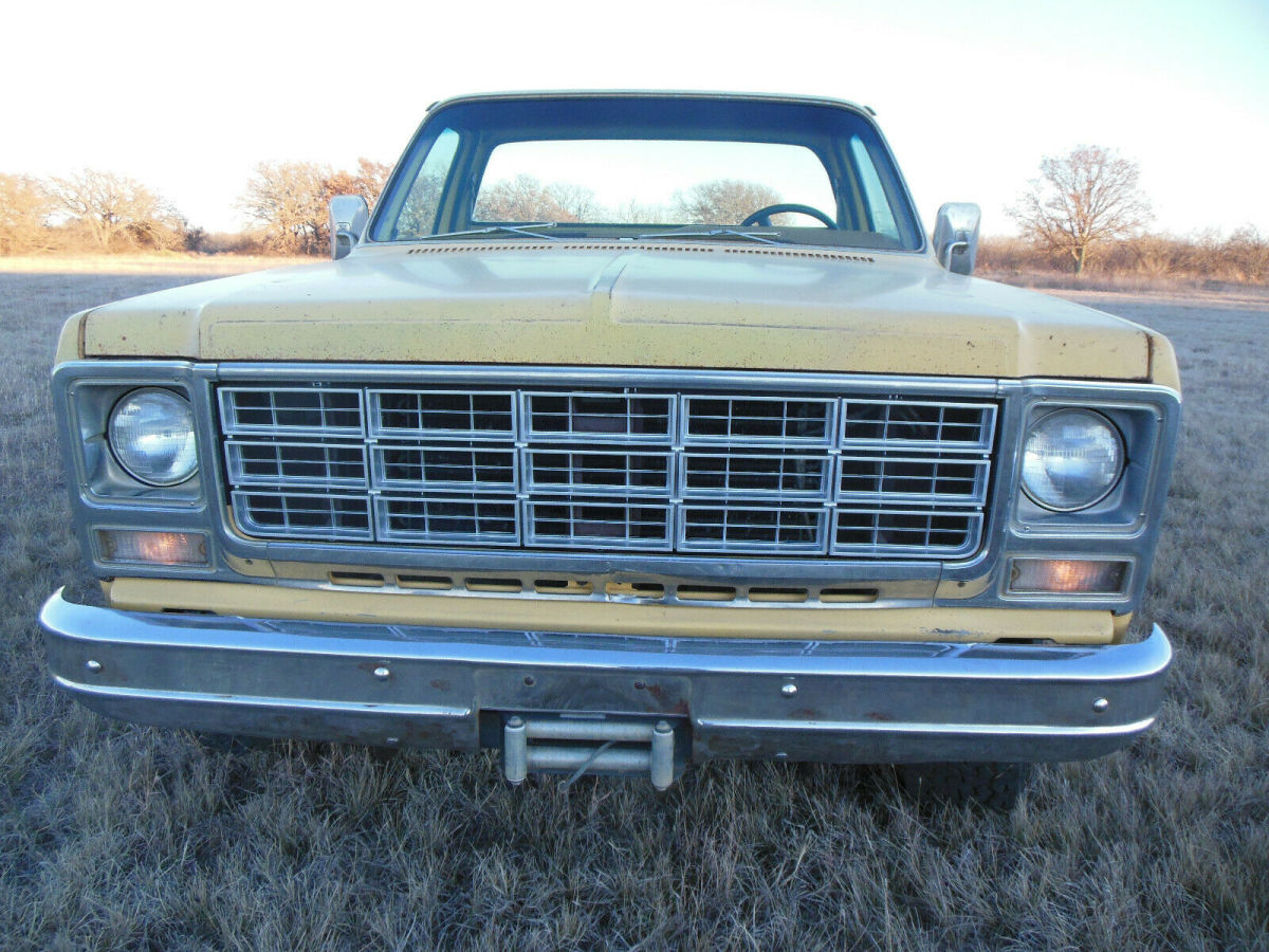 1979 Chevrolet Other Pickups