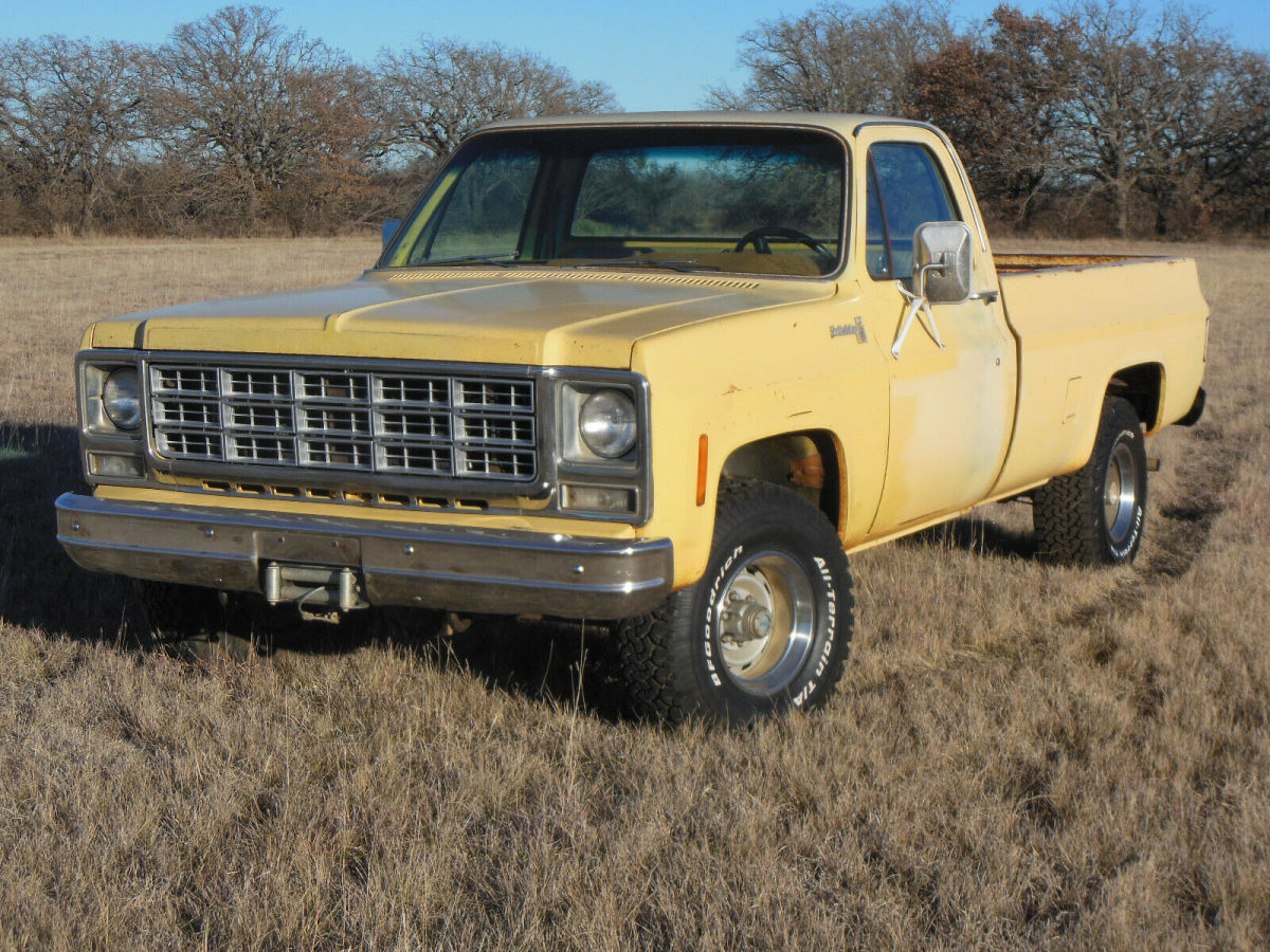 1979 Chevrolet Other Pickups