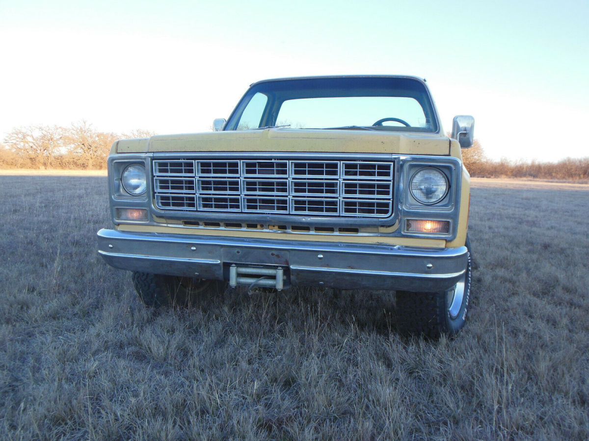 1979 Chevrolet Other Pickups