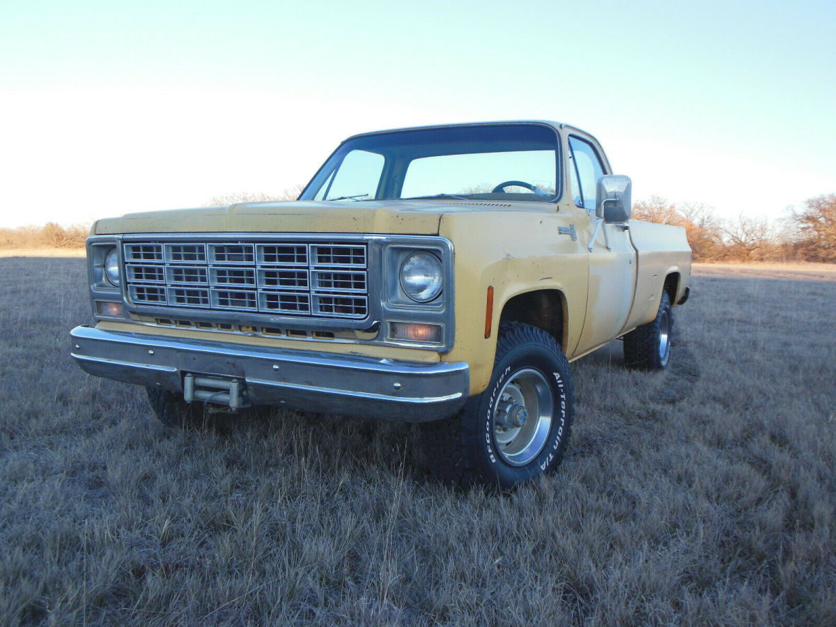 1979 Chevrolet Other Pickups