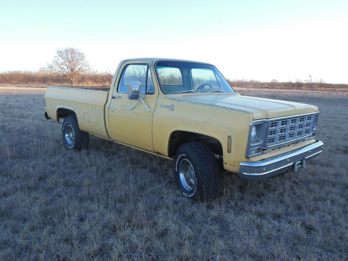 1979 Chevrolet Other Pickups