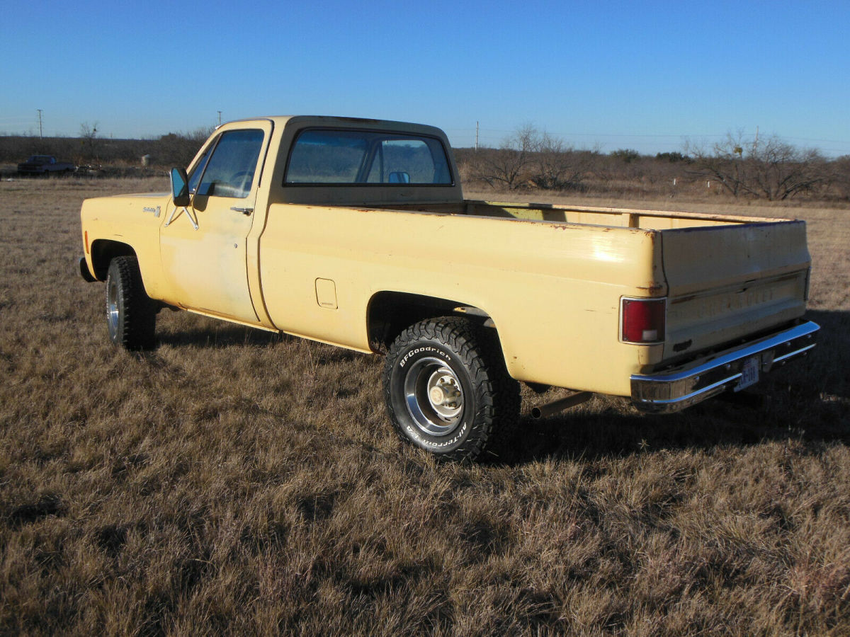 1979 Chevrolet Other Pickups