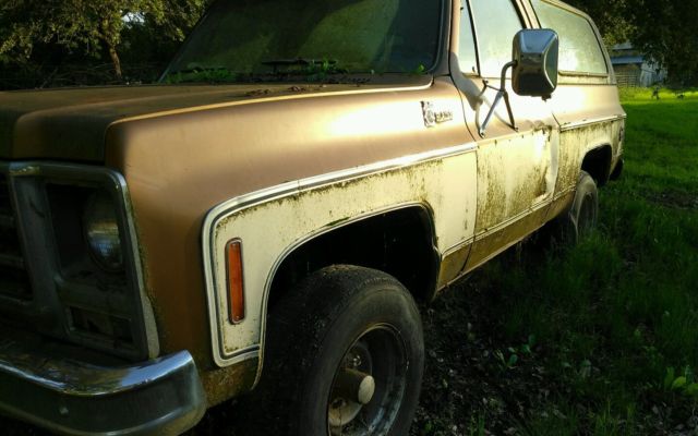 1979 Chevrolet Blazer SUV
