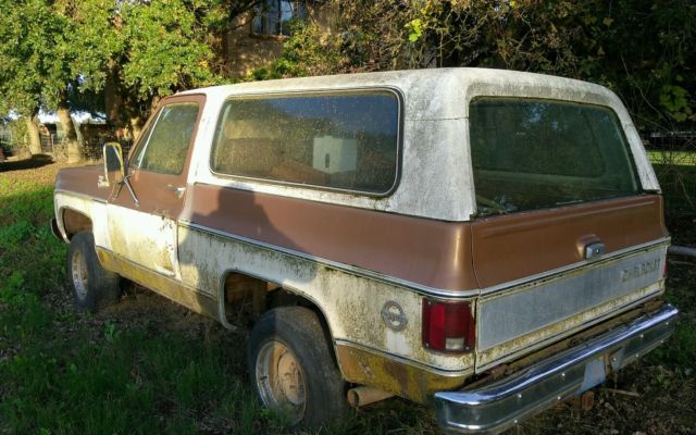 1979 Chevrolet Blazer SUV
