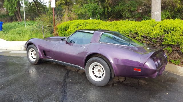 1979 Purple Chevrolet Corvette Mirrored T-tops