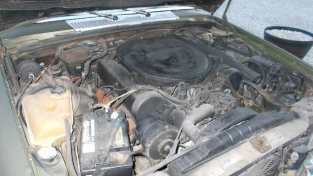 1979 Dark Green Mercedes-Benz 400-Series Sedan