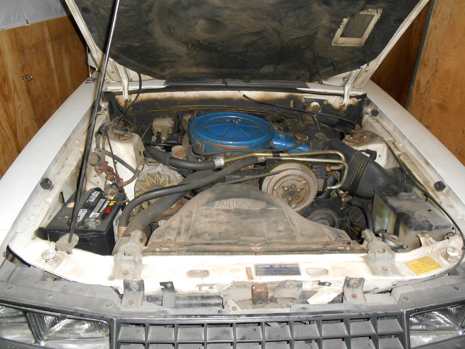 1979 White Ford Mustang Sedan