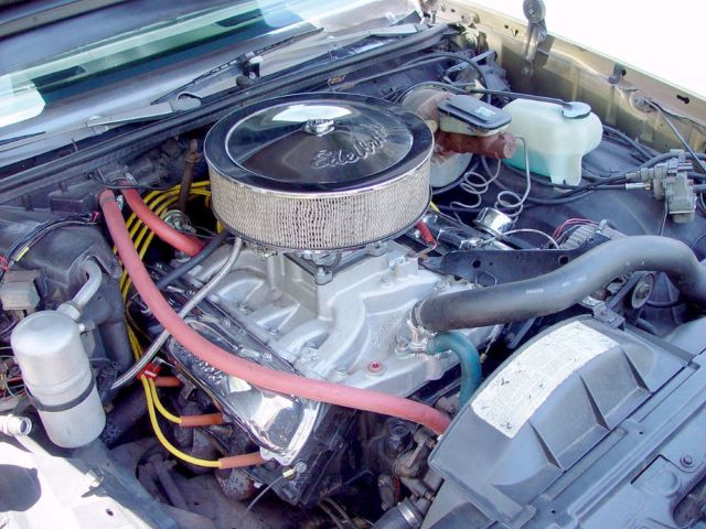 1979 Oldsmobile Cutlass