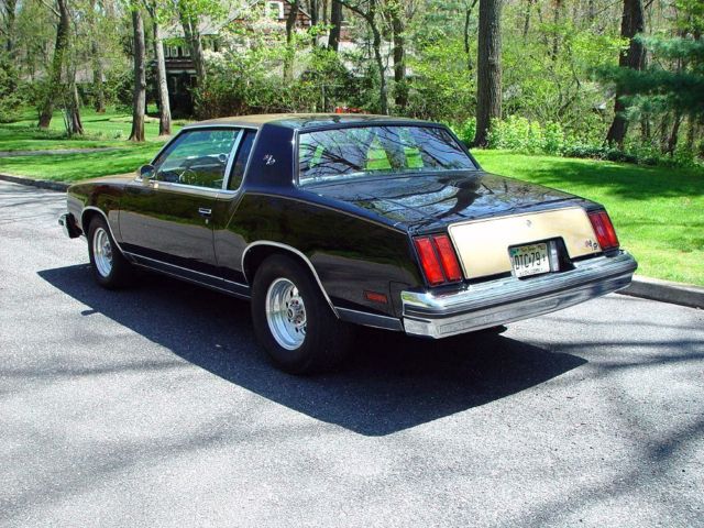 1979 Oldsmobile Cutlass