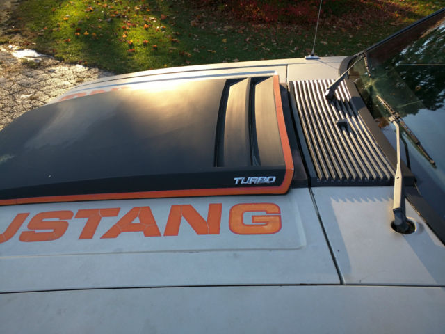 1979 Silver Ford Mustang