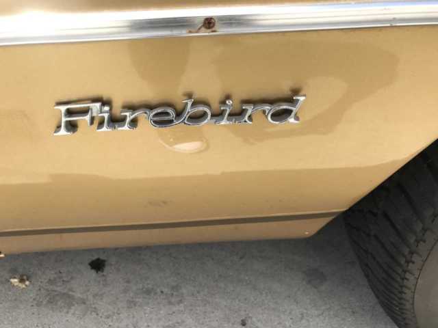 1979 Gold Pontiac Firebird Coupe