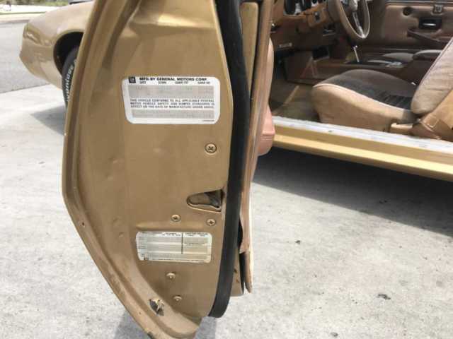 1979 Gold Pontiac Firebird Coupe