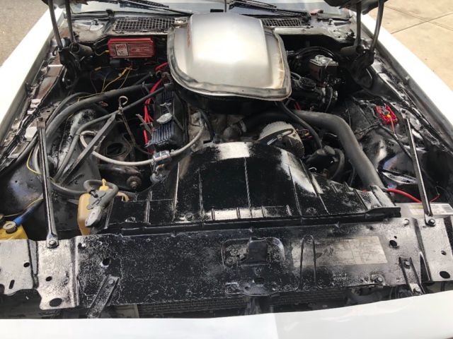 1979 White Pontiac Trans Am Coupe