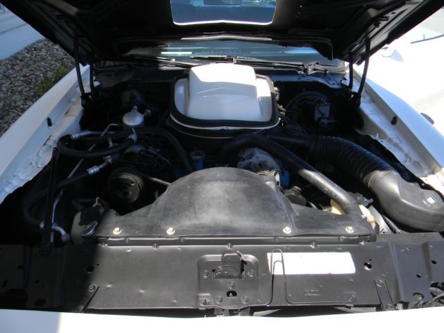 1979 White Pontiac Trans Am Coupe