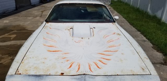 1979 Pontiac Trans Am