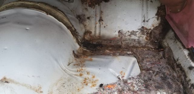 1979 Pontiac Trans Am