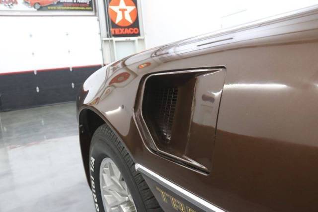 1979 Brown Pontiac Trans Am Coupe
