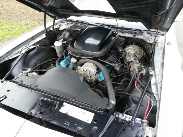 1979 White Pontiac Trans Am T Top