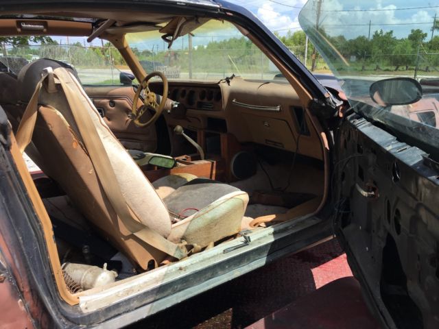 1979 Black Pontiac Trans Am