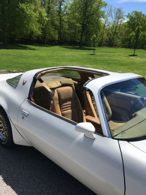 1979 SOLAR GOLD Pontiac Trans Am 2 D00R