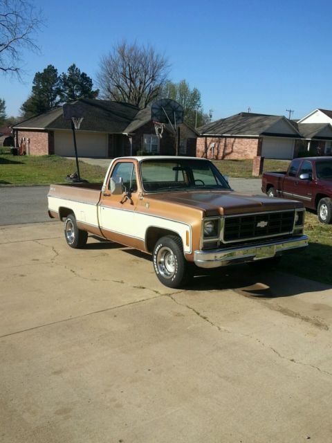 1979 Chevrolet C-10 Standard Cab Pickup