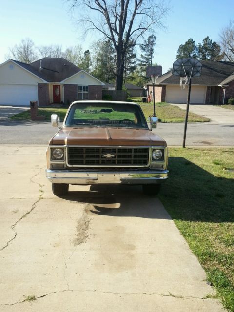 1979 Chevrolet C-10 Standard Cab Pickup